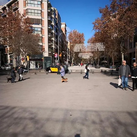 Dream's Bcn
